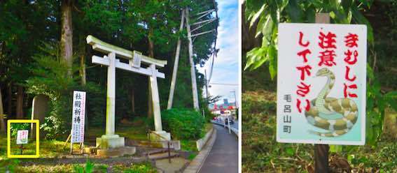 マムシに注意 の看板 働く女性医師の夫 Howdy